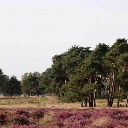 8-persoons Accommodatie, 4 Slaapkamers Villa